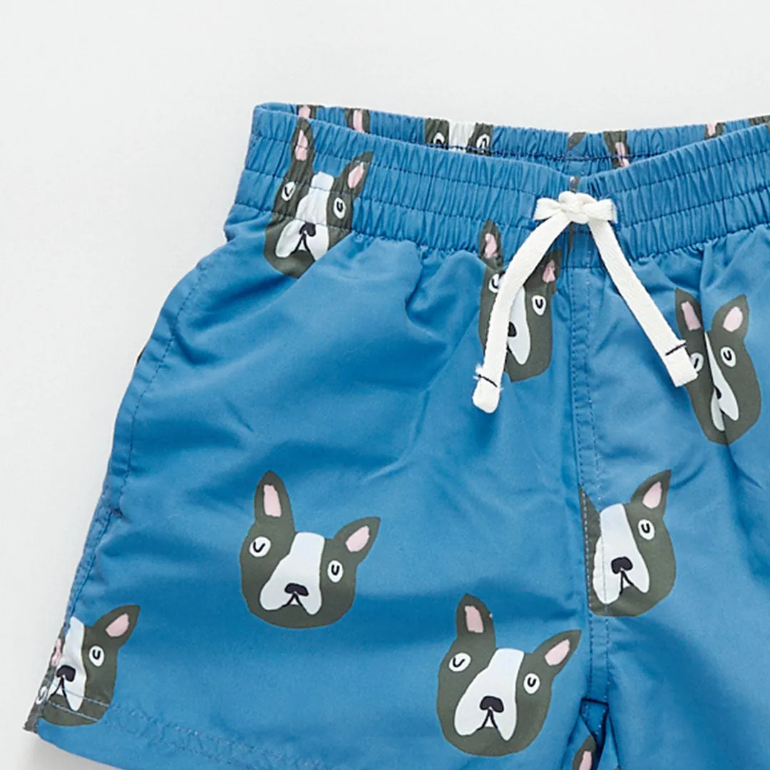 Baby Boys Swim Trunk - Blue Boston Terrier