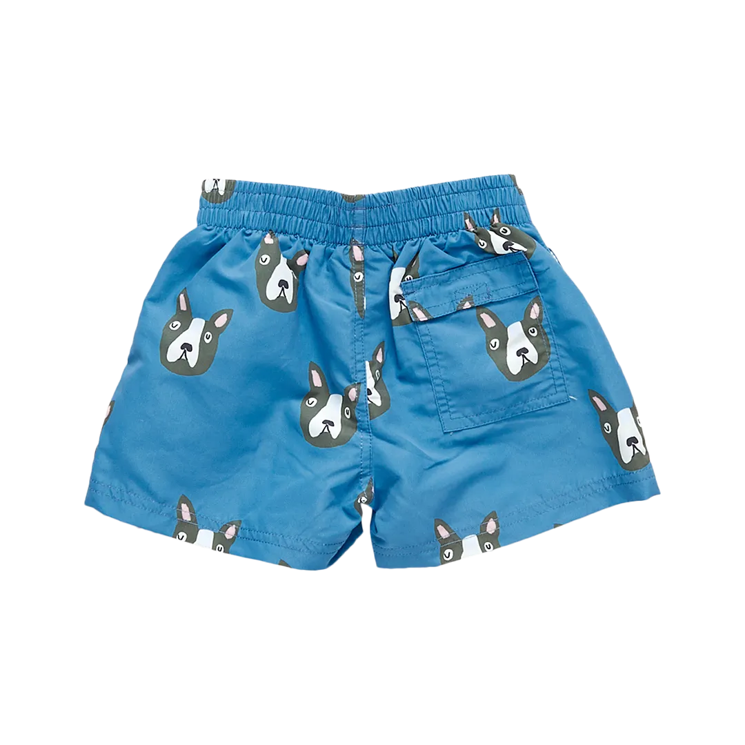 Baby Boys Swim Trunk - Blue Boston Terrier