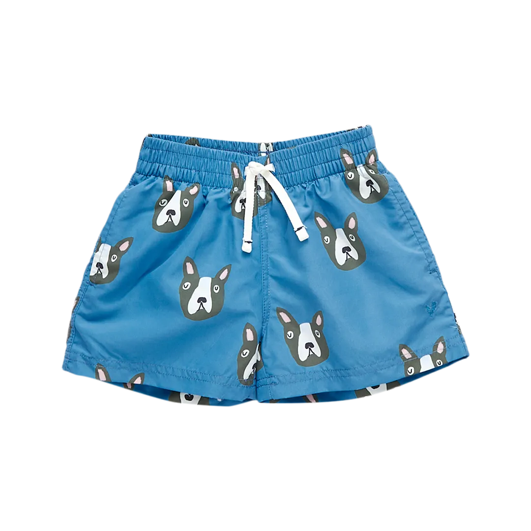 Baby Boys Swim Trunk - Blue Boston Terrier