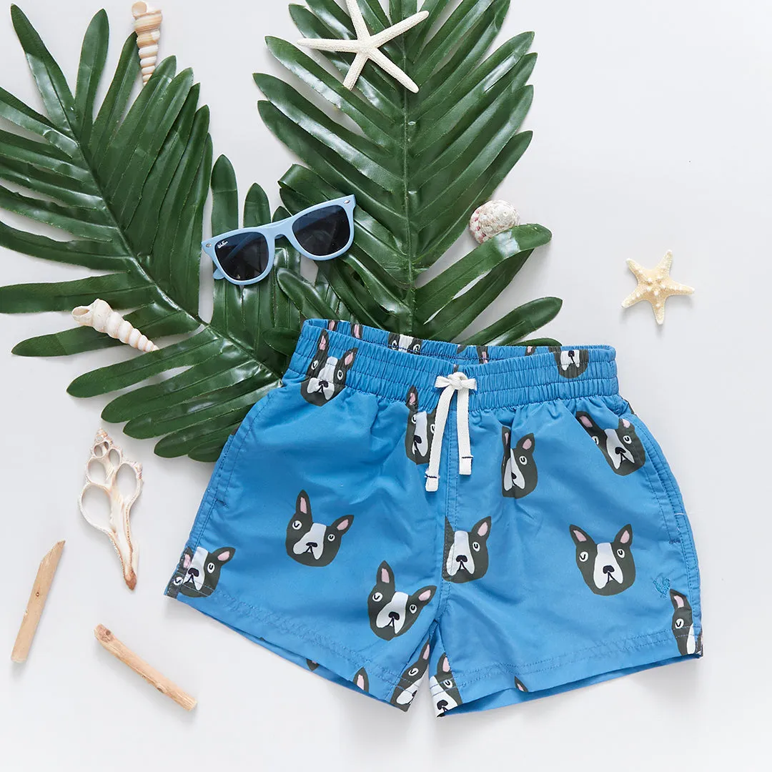 Baby Boys Swim Trunk - Blue Boston Terrier