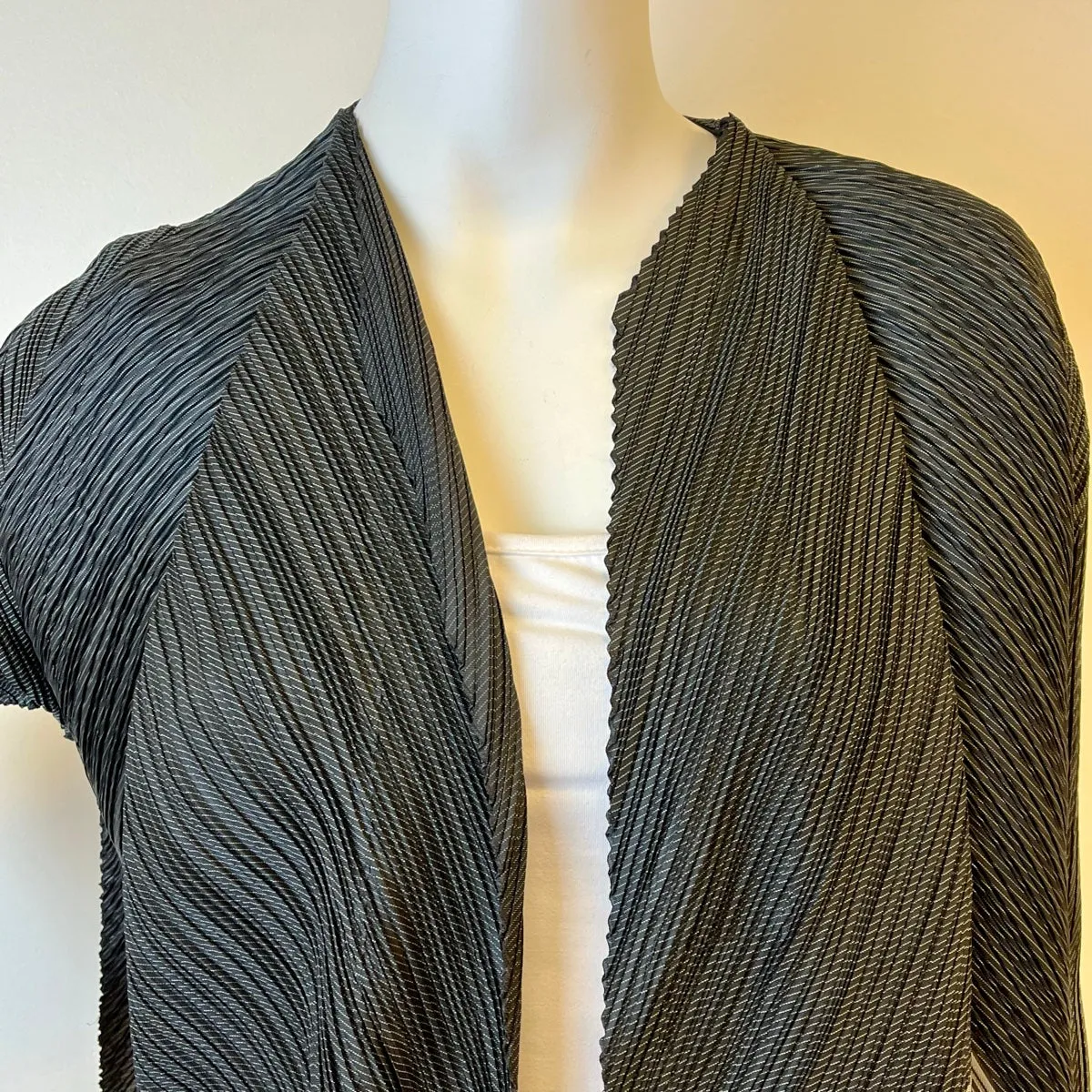 Issey Miyake Jacket