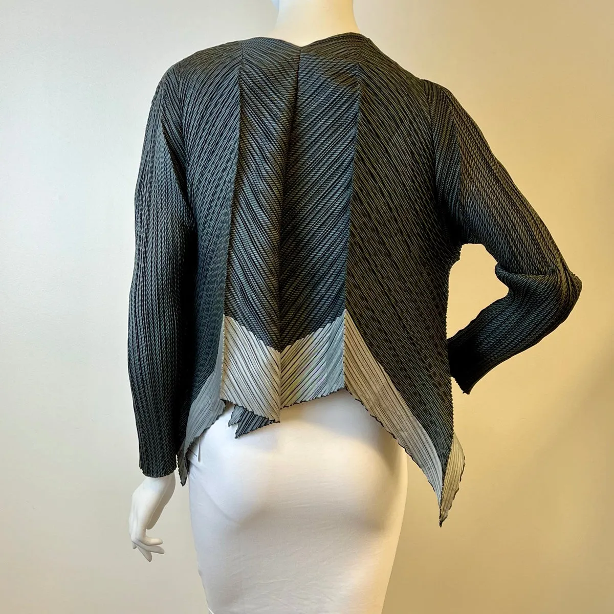 Issey Miyake Jacket