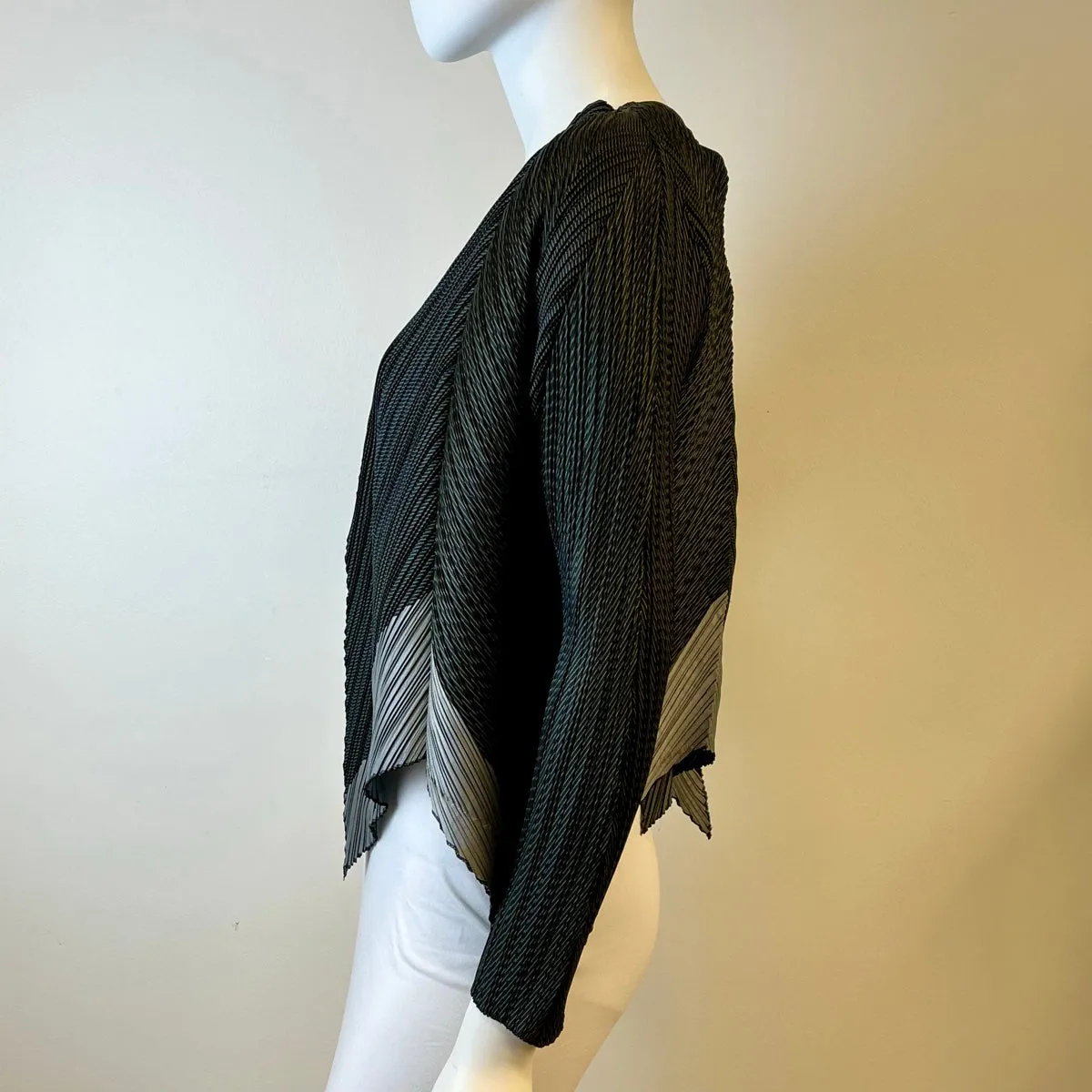 Issey Miyake Jacket