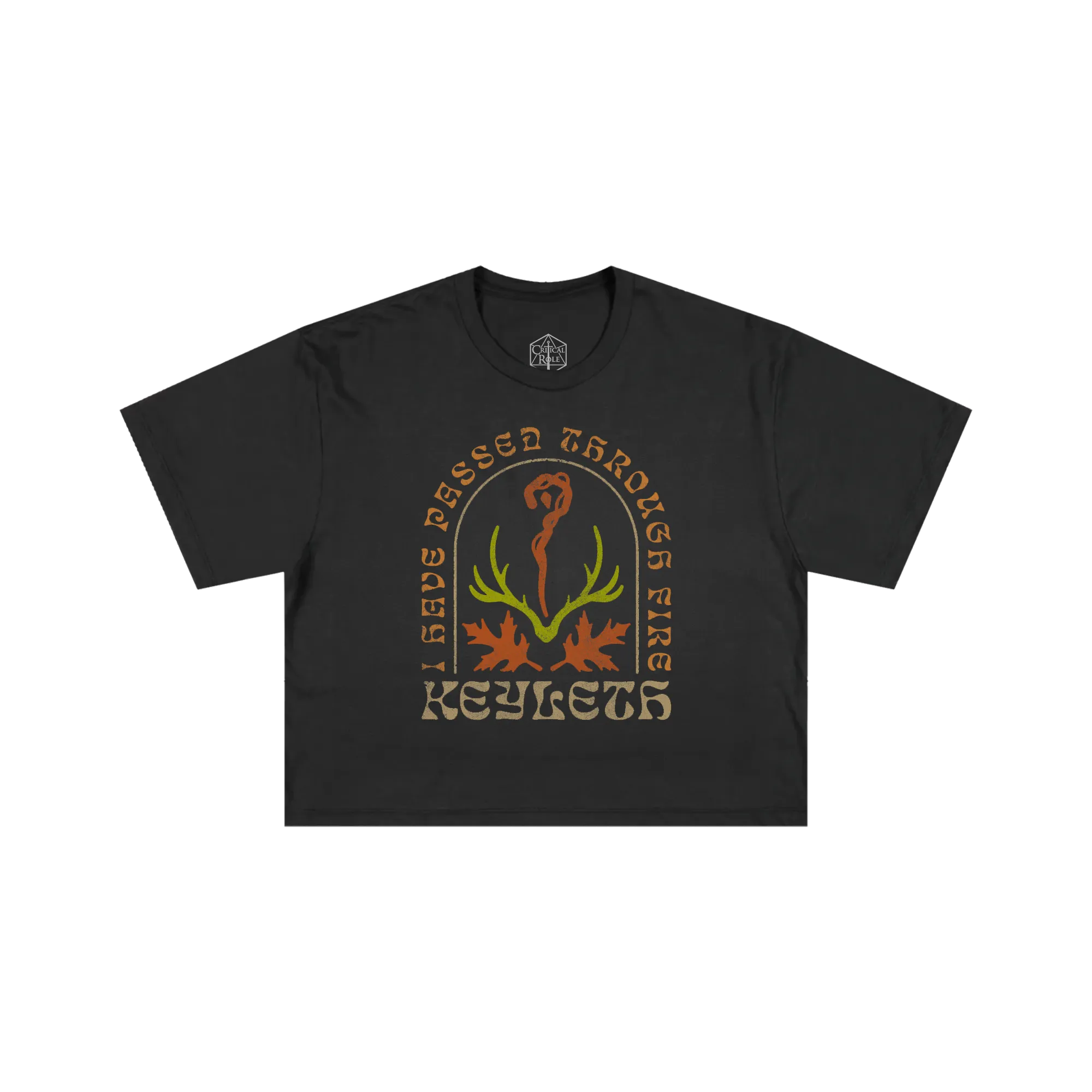 Keyleth Gray Cropped Tee